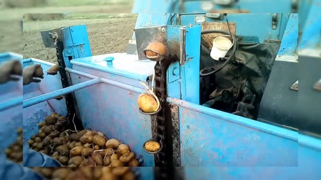 Самодельная двухрядных картофелесажалка для трактор МТЗ /ЮМЗ... смотреть онлайн