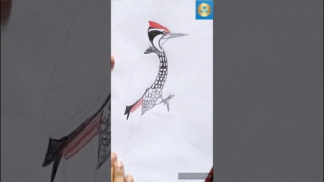 PlasticCrayonArtPart2 #trendingvideo #viral #trending #viralvideo #plasticcrayons #part2 #art #colo смотреть онлайн