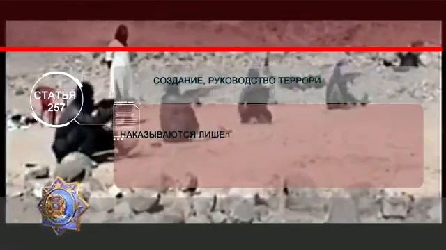 Законы должны искоренять пороки и насаждать добродетели смотреть онлайн