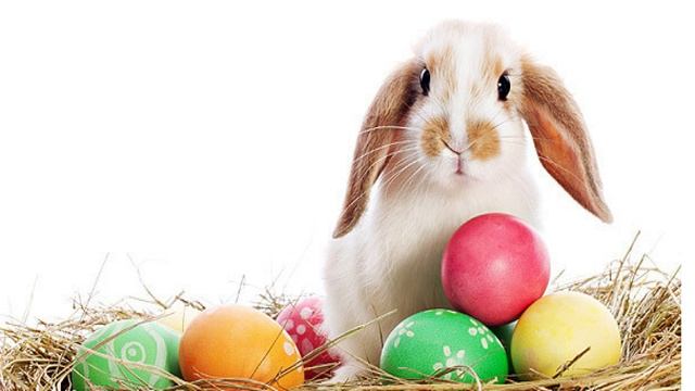 ¿Religiones o Religión? Parte 2 смотреть онлайн