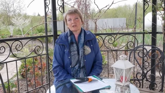 Обязательно сделайте после прививки деревьев. Ответы на вопросы. смотреть онлайн