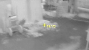 mileseey tr256i мобильный тепловизор