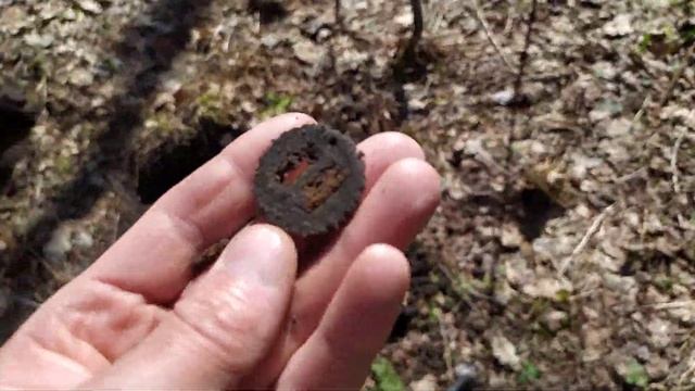 В ГОСТЯХ У ЛЕСНИКА 2 смотреть онлайн