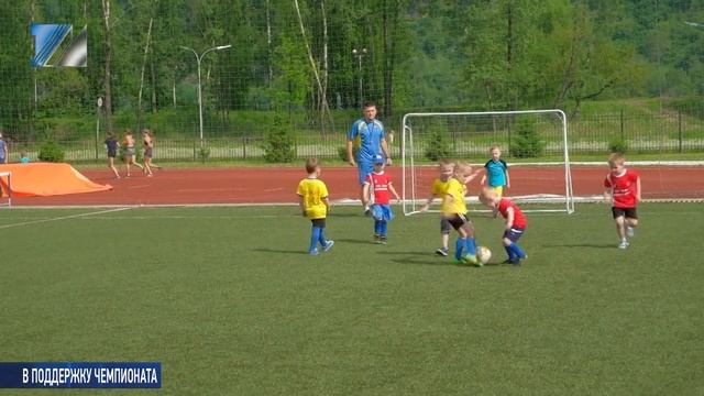 Самые маленькие на футбольном поле смотреть онлайн