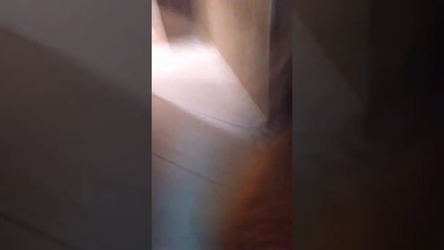 Как напугать младшую сестру смотреть онлайн