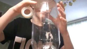 Дедаю скворечник из бутылки