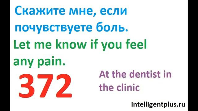 Russian Phrases And Words / At The Dentist In The Clinic (372) / Russian Language
