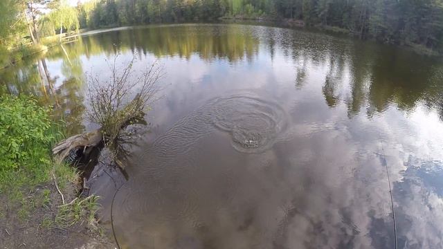 Форель на вертушку смотреть онлайн