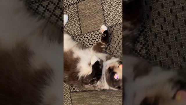 27 октября 2023 г. смотреть онлайн