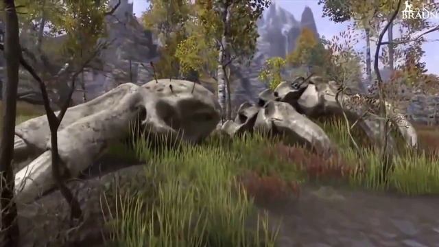 Обзор онлайн игры The Elder Scrolls Online на русском смотреть онлайн