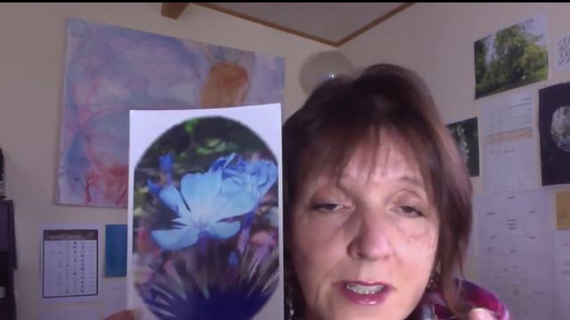 Cerato Flower Energy - Come out of your Head and into your Heart смотреть онлайн