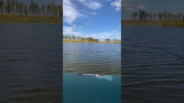 #рыбалка #воронеж #осень2023 смотреть онлайн