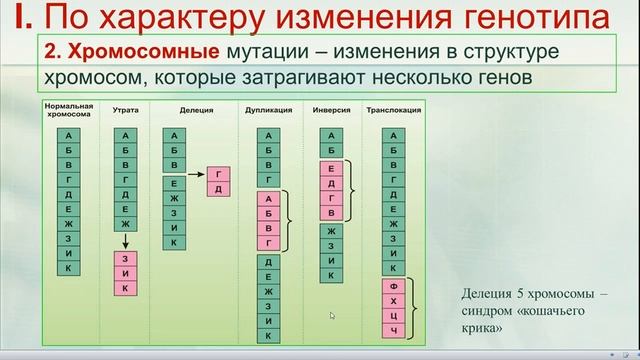Наследственная изменчивость: комбинативная и мутационная. Закон гомологических рядов Н.И. Вавилова смотреть онлайн