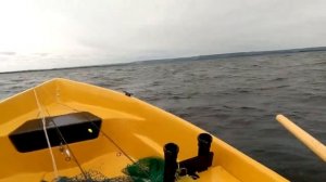 Нельма 370 в волну ч2