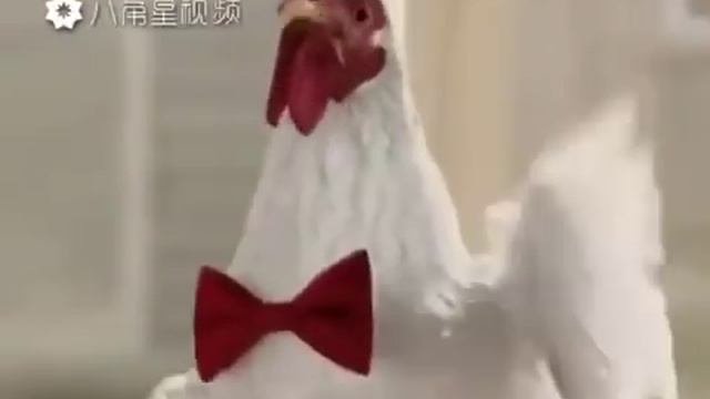 Песня ко ко ко смотреть онлайн