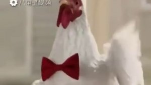 Песня ко ко ко