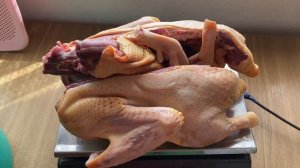 Мускусная утка вес тушки самец 7 месяцев