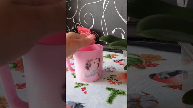 Наглядно размер 2,5 и размер 1,7 смотреть онлайн