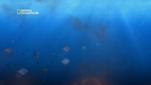 Путешествие к ядру Земли National Geographic HD.mp4