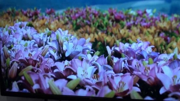 Оптический HDMI кабель Dr.HD: HDMI 2.0, 4k, 18Gbps, HDR, 3D на 100 метров!