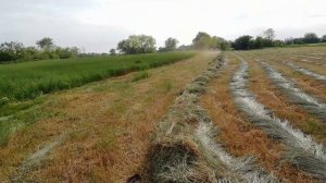 ОБЗОР НА ГРАБЛИ ГВК 6 и сгребание сена.