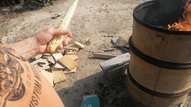 Лес. Грибы. Арбузы смотреть онлайн