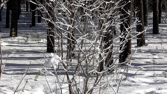 Безграничные возможности (для женщин) смотреть онлайн