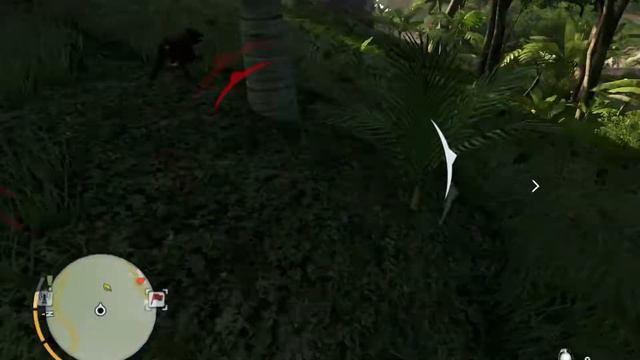 Far Cry 3 #3 (Почти по стелсу, не без помощи тигра) смотреть онлайн