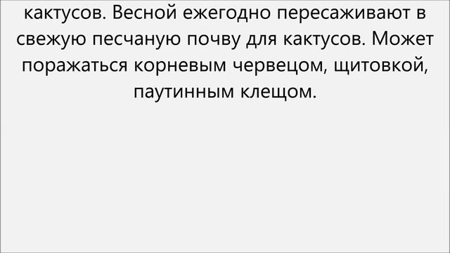 Опунция уход смотреть онлайн