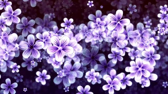 Футаж / Flowers смотреть онлайн