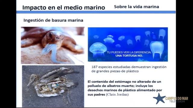 Plastics in the marine environment: a global problem смотреть онлайн
