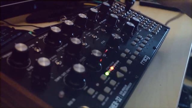 Moog Mother 32 / DSI Prophet Rev2 - Ambient Plucky Song смотреть онлайн