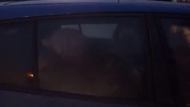 Автокресла 27 02 14 смотреть онлайн