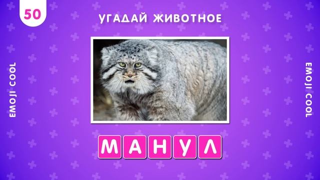 УГАДАЙ 100 ЖИВОТНЫХ ПО БУКВАМ ????? смотреть онлайн