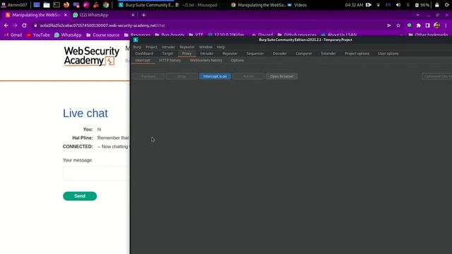Portswigger labs (Websocket lab-2) смотреть онлайн