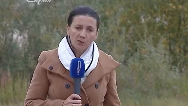 Бывает кусачей: смотреть онлайн