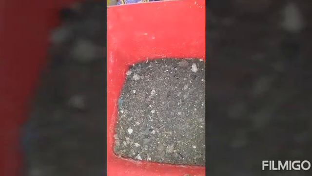 PLANTING MIX CALADIUM SEEDS смотреть онлайн