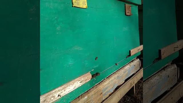 14 февраля 2020год г.Грозный смотреть онлайн