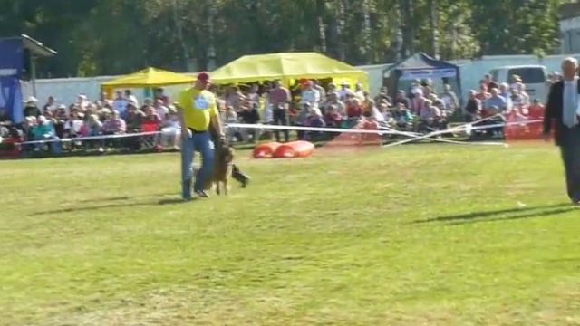 Копс ф Шолленакер, Главная выставка России 2013 г. смотреть онлайн