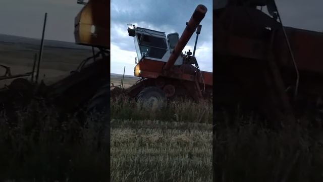 нива ск 5 косим в горах Ыссык Куле смотреть онлайн