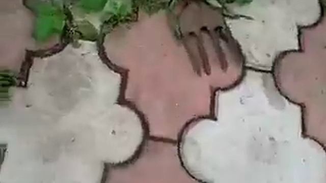 Ёжик пришел к нам в гости на дачу.Hedgehog on the street.. Видео про животных. смотреть онлайн