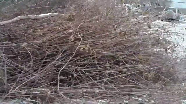 ул карпинского д35!мусорный контейнер!