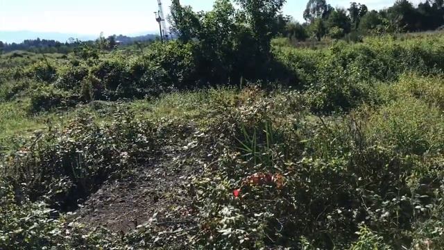 Из Кобулети в Уреки на маршрутке. Чем и как живет сейчас Уреки. Дорога к пляжу смотреть онлайн