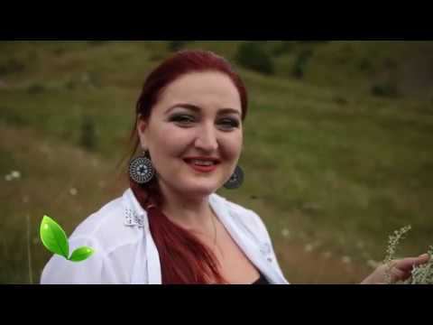 Кардаг ( ТРАВЫ ) - Полынь смотреть онлайн