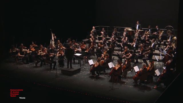 Symphony No.1 In G Minor - Vasilij Sergeevič Kalinnikov