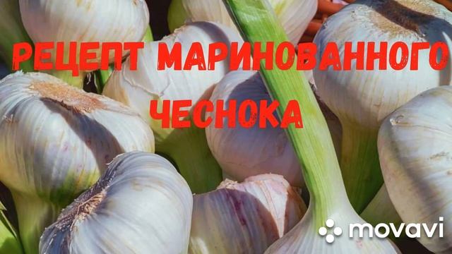 Рецепт малосольного чеснока. Супер лёгкий и очень вкусный!