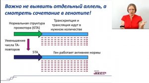 Синдром Жильбера
