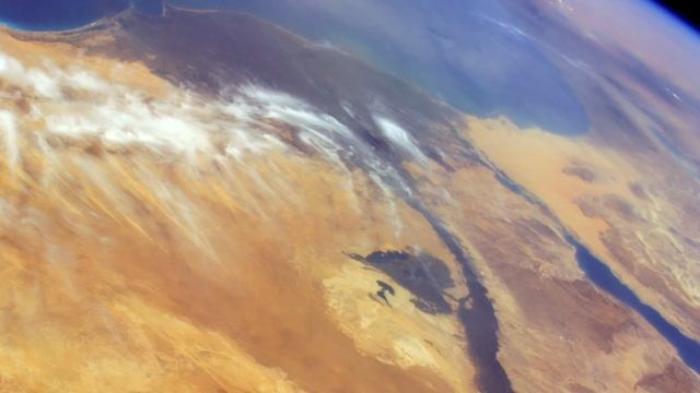 Wikimedia Community feature: May Hachem - Teaching Wikipedia in Egypt смотреть онлайн