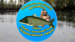 Как поймать Линя и Золотистого линя на Карасёвом пруду [АРХИВ] | Реальная Рыбалка