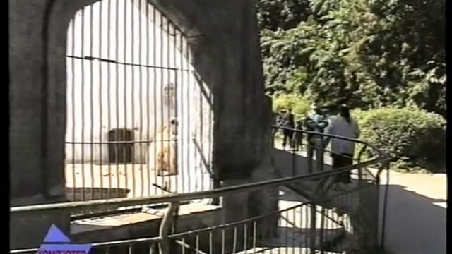 KX 208 97 04 Zoopark Kiev Pered Ubileem (Prijamch) смотреть онлайн